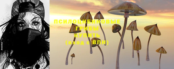 метадон Беломорск